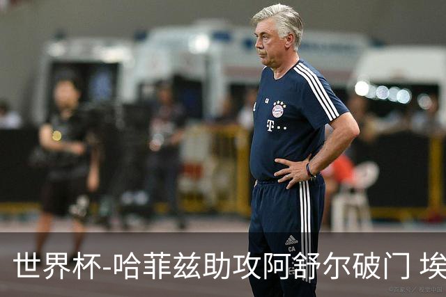 世界杯-哈菲兹助攻阿舒尔破门 埃及半场暂1-0澳大利亚