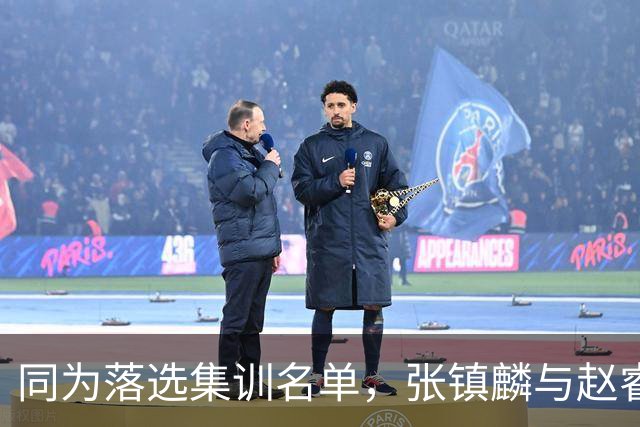 同为落选集训名单，张镇麟与赵睿的境遇差异何在？