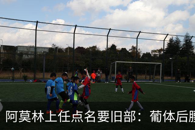 阿莫林上任点名要旧部：葡体后腰卖4500万，曼联放弃之人想转会